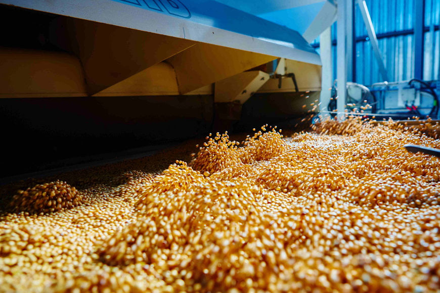 Reduce energy costs and improve sustainability through feed mill automation